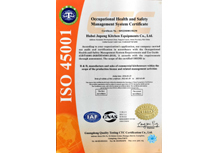 職業(yè)健康安全管理體系認(rèn)證證書(shū)（英文）